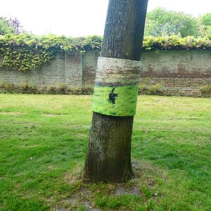 En passant gesehen im alten Kirchhof von Veere (NL) ..