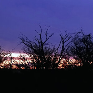 Die Farbe Violett
