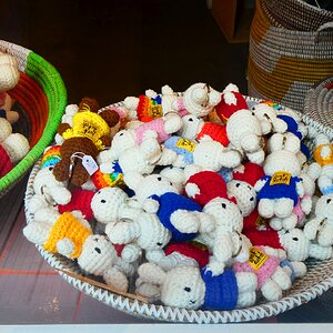 Bunnies !