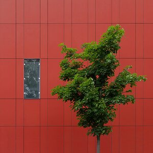 Spieglein, Spieglein an der Wand