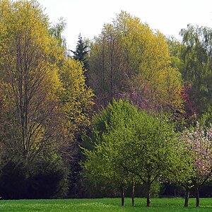 Frühlingsbunt