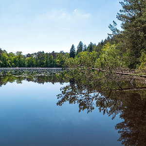 Natur Pur