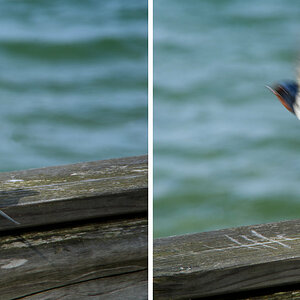 und weg...