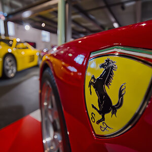 il cavallino rampante