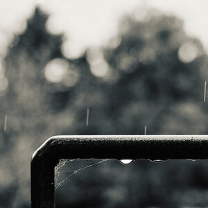 _im_regen.jpg