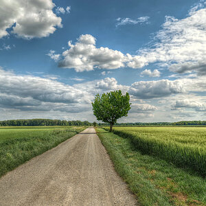 Weites Land