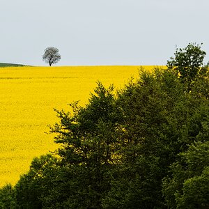 Weitblick