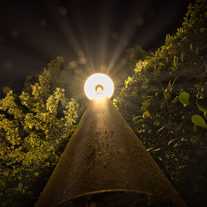 Lichtblicke aus der Lurchloge