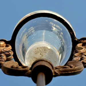 Im Sonnenlicht