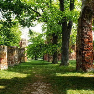 Eldena - Klosterruine bei Greifswald
