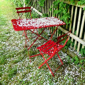 Juni-Schnee
