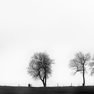 Spaziergang