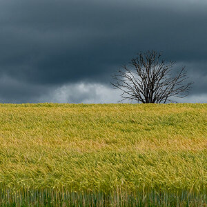 Bedrohlich Wolken
