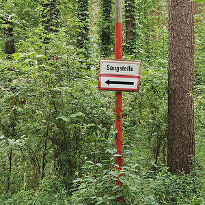 Dritter Baum links
