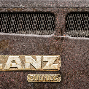 Bulldog