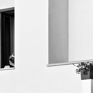 Die Dame am Fenster