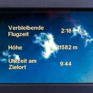 Bald am Ziel