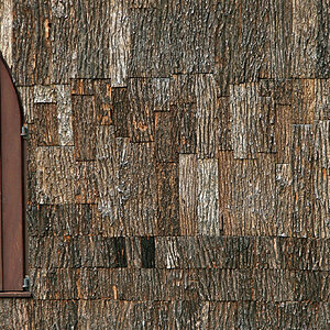 Knock on wood.jpg