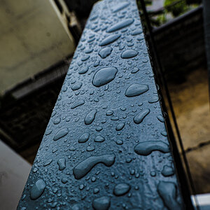 Nach dem Regen