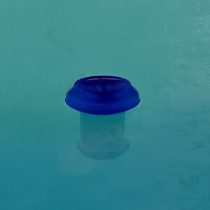 Swimming Mushroom