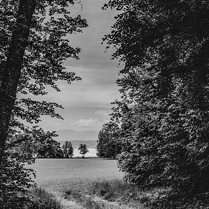 Am See