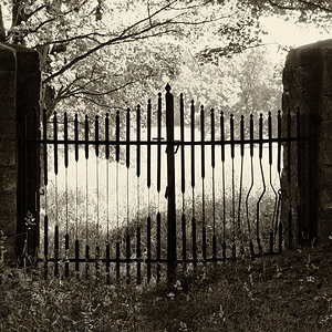 _friedhof.jpg