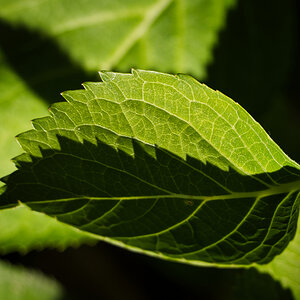 Licht und Schatten