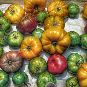 TOMATEN