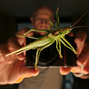 nächtlicher Besuch