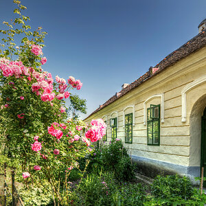 Niedersulz