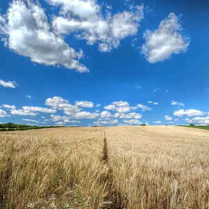 Sommer im Weinviertel