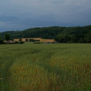 Es grummelt schon