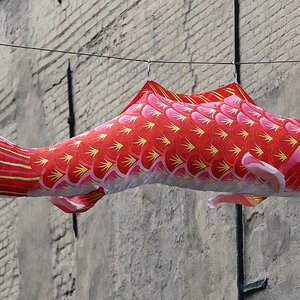 Fisch am Haken