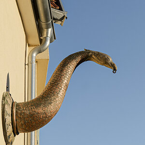 Der Lindwurm