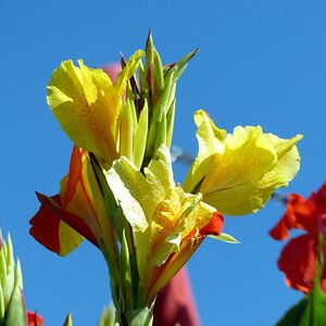 Bunter Sommer