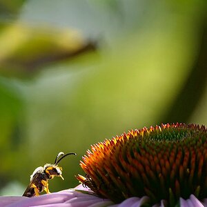 tief beeindruckt