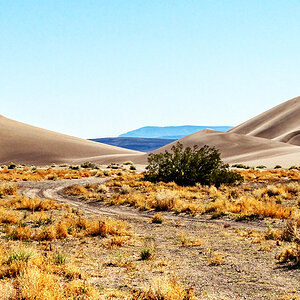 Big Dune