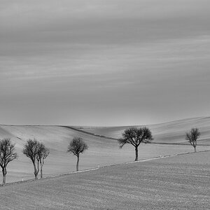 country road