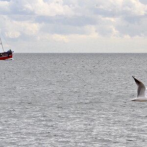 Nordseekutter