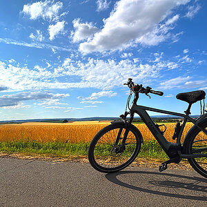 Fahrrad vor Weizenfeld