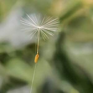 Abflugbereit