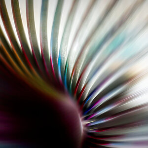 Slinky