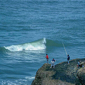 Angler