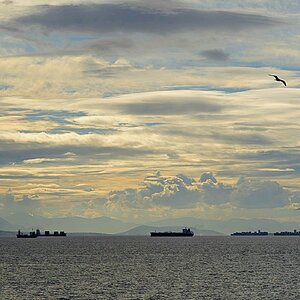 ... Rush Hour