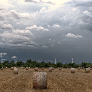 Heuballen  (1)
