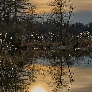Am See