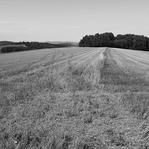 Landschaft Sommer 2025