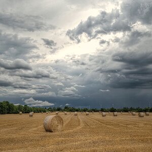 Heuballen  (2)