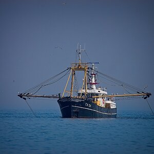 Fischkutter vor Callantsoog (NL)