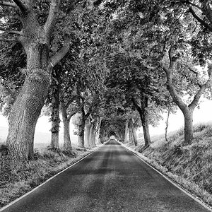Tunnelblick